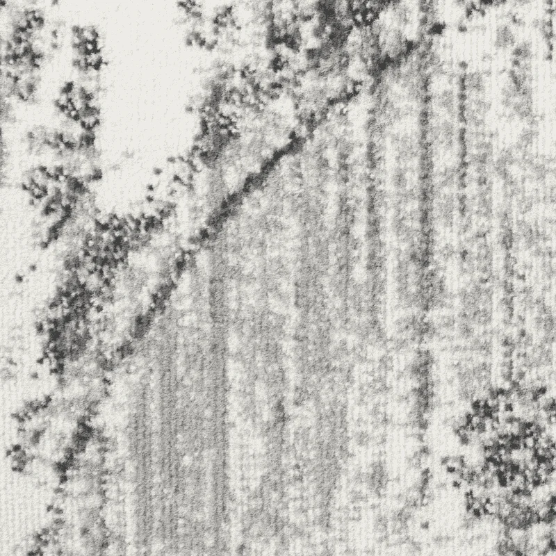 Miniatuur 8