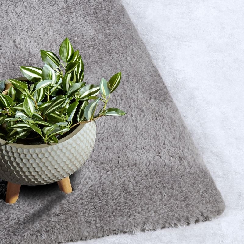 Miniatuur 6
